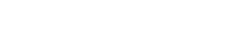 Erlin Brands